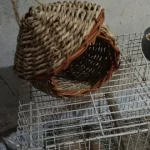 Hand-Woven Grass Bird Nest - Small Parrot & Canary Outdoor Hanging Hut photo review