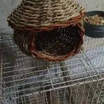 Hand-Woven Grass Bird Nest - Small Parrot & Canary Outdoor Hanging Hut photo review