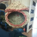 Hand-Woven Grass Bird Nest - Small Parrot & Canary Outdoor Hanging Hut photo review