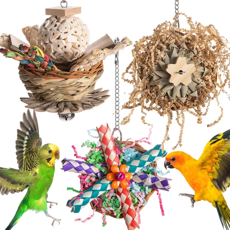 3 Pcs Colorful Bird Chewing Toys - Foraging Shredder for Parrots & Small Birds photo review