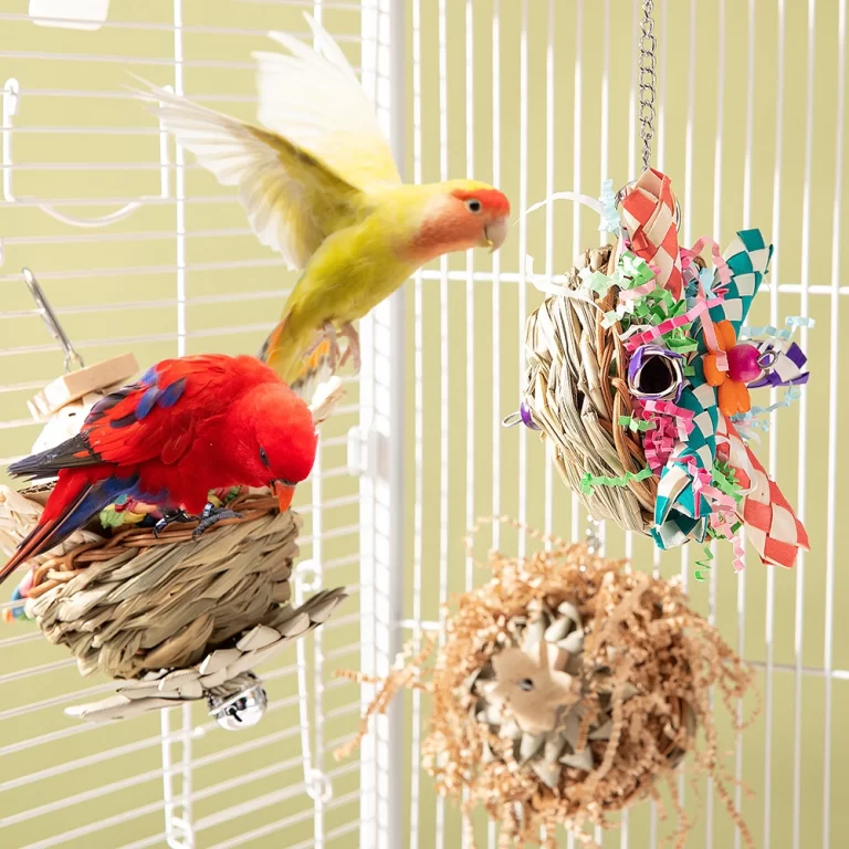 3 Pcs Colorful Bird Chewing Toys - Foraging Shredder for Parrots & Small Birds photo review