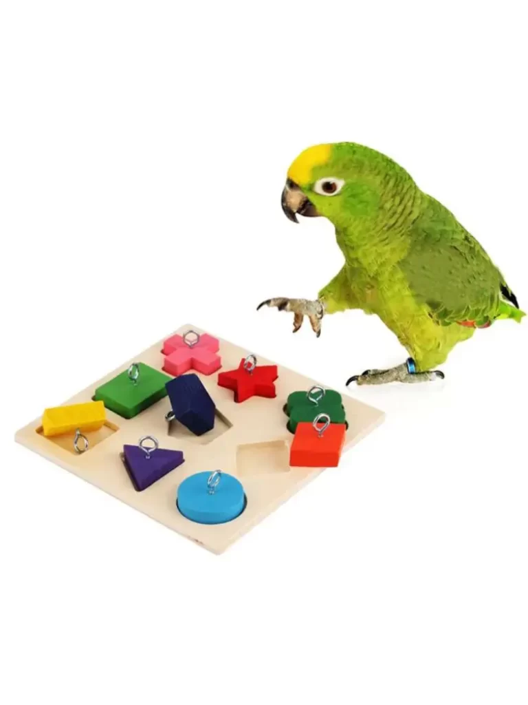 9 Grid Parrot IQ Training Toy - Colorful Wooden Blocks for Safe, Tasteless Pet Education photo review