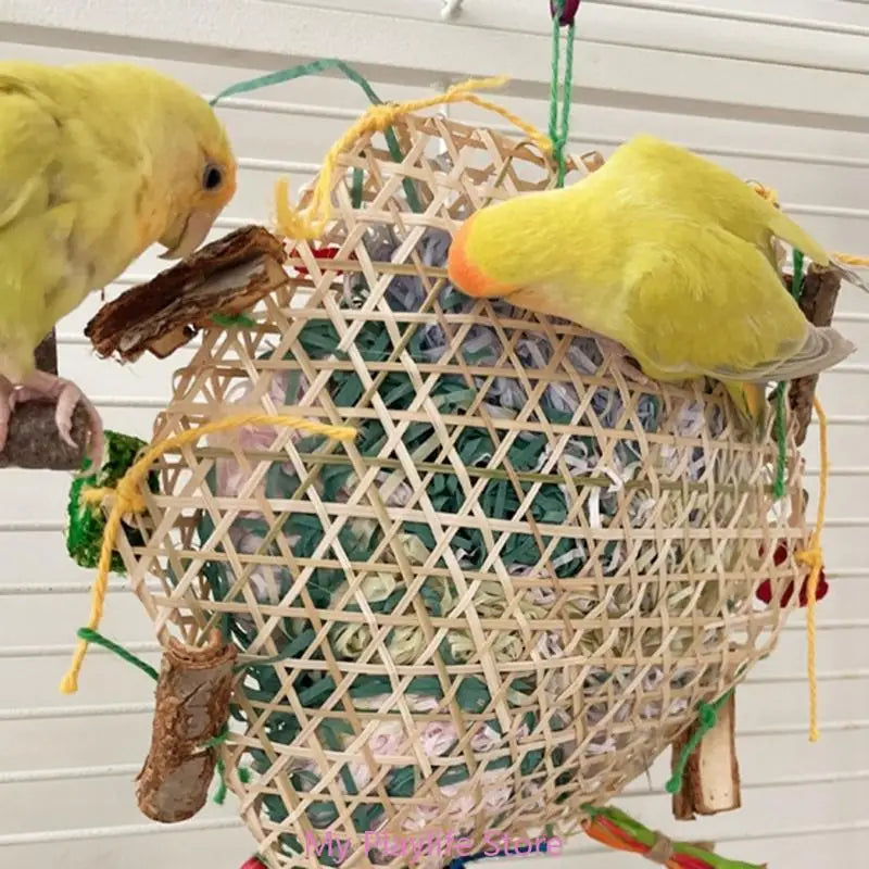 Natural Bamboo & Grass Bird Toy - Exercise & Chew for Medium to Large Parrots