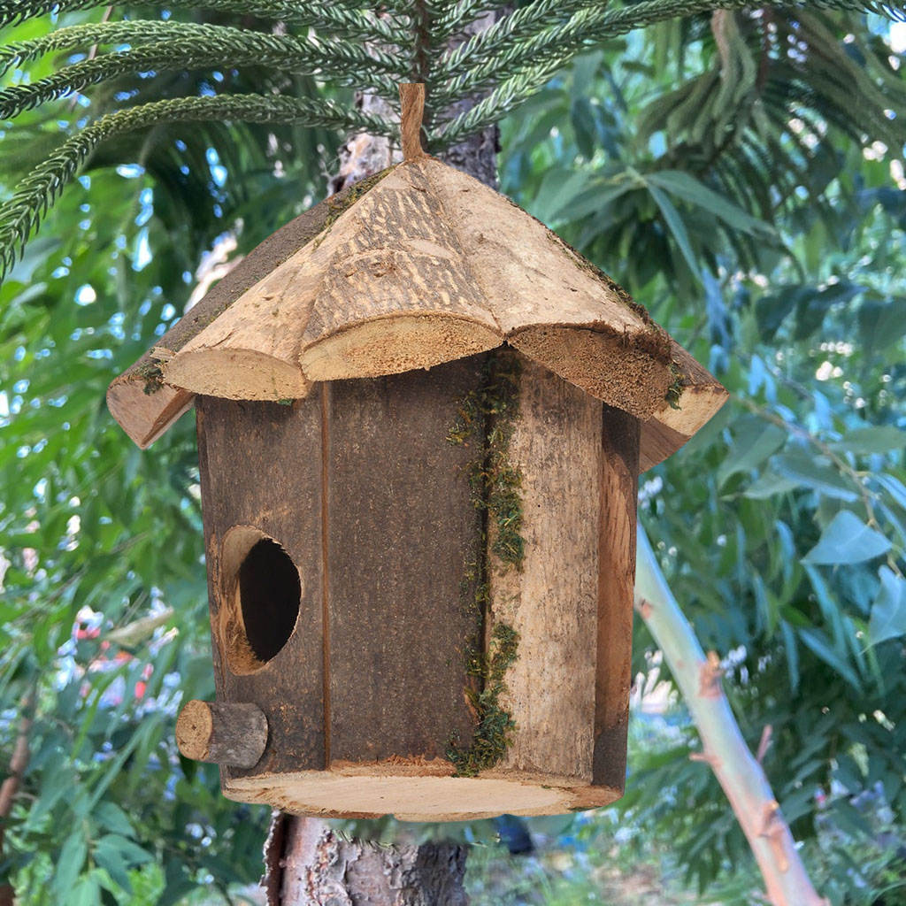 Outside Wooden Bird Nest Natural Decor Bird Hut Hummingbird House for Window