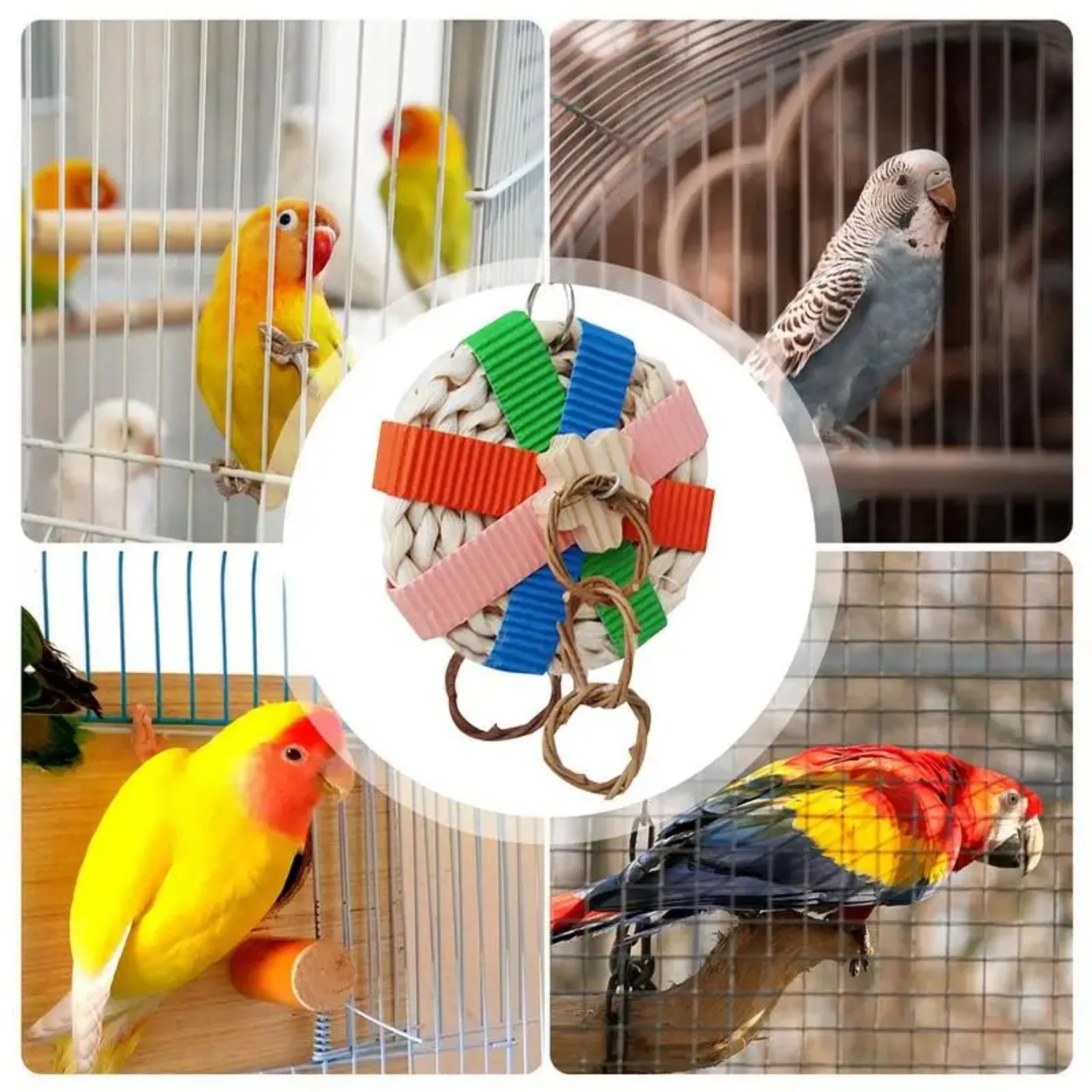 繽紛鸚鵡啃咬玩具－適合虎皮鸚鵡和玄鳳鸚鵡的覓食與撕咬樂趣