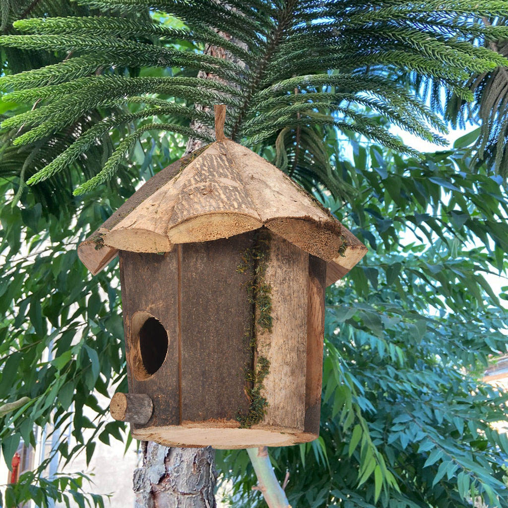 Outside Wooden Bird Nest Natural Decor Bird Hut Hummingbird House for Window