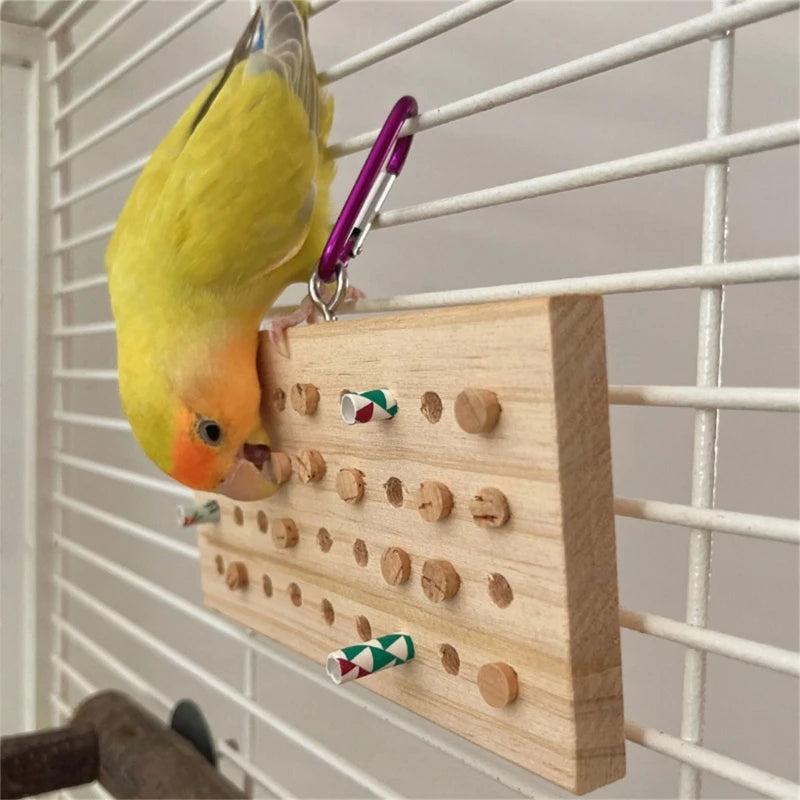 鳥類啃咬玩具－適合小型鳥類、虎皮鸚鵡的天然磨牙吊掛玩具