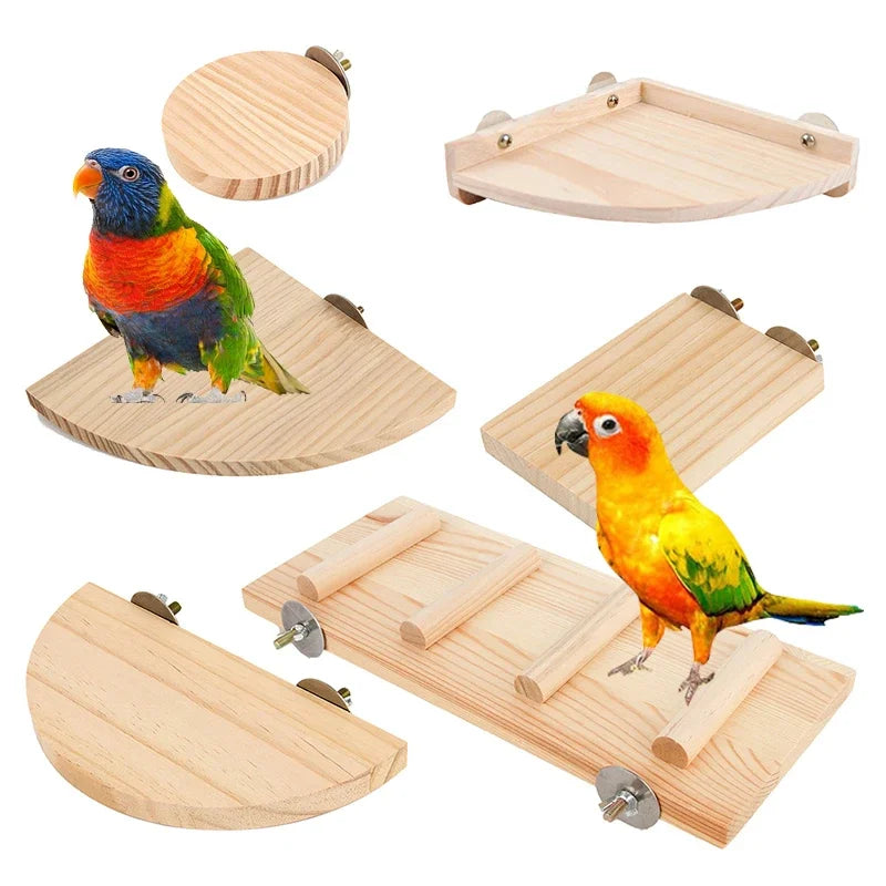 木製棲木－鸚鵡與鳥籠玩具、鳥類用品