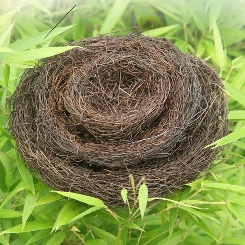 圓形藤製鳥巢