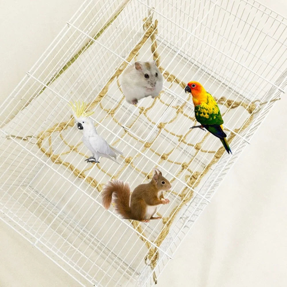 Parrot Swing & Climbing Net - 30x20cm Hammock, Stand Ladder, Chewing Gym Toys
