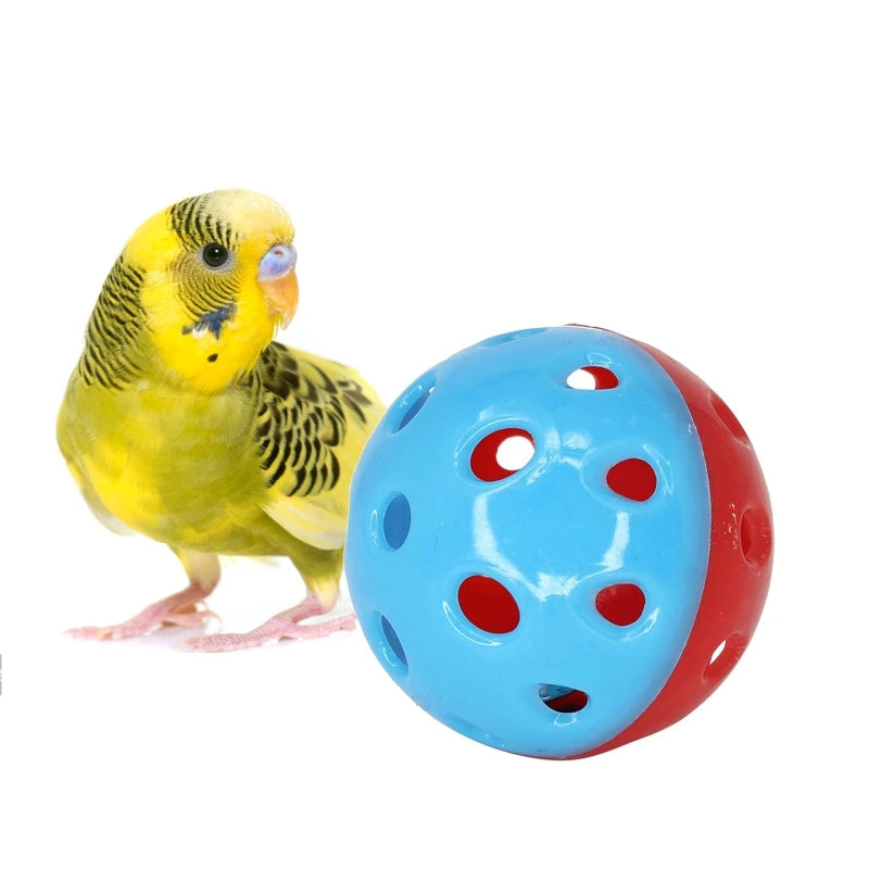 Bird Toy Ball - Training Equipment & Chewing Toy for Parrots