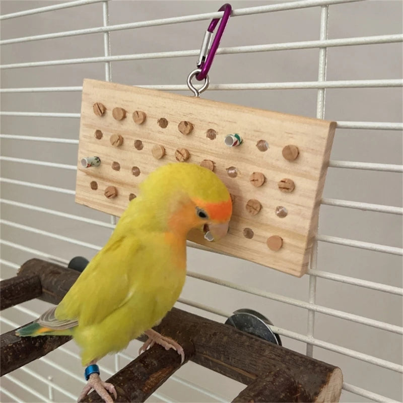 鳥類啃咬玩具－適合小型鳥類、虎皮鸚鵡的天然磨牙吊掛玩具