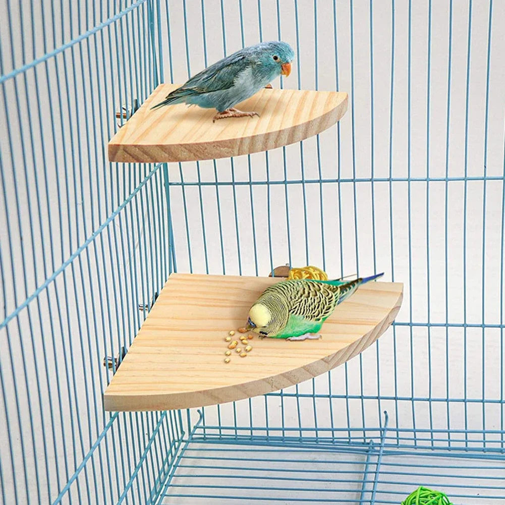 木製棲木－鸚鵡與鳥籠玩具、鳥類用品
